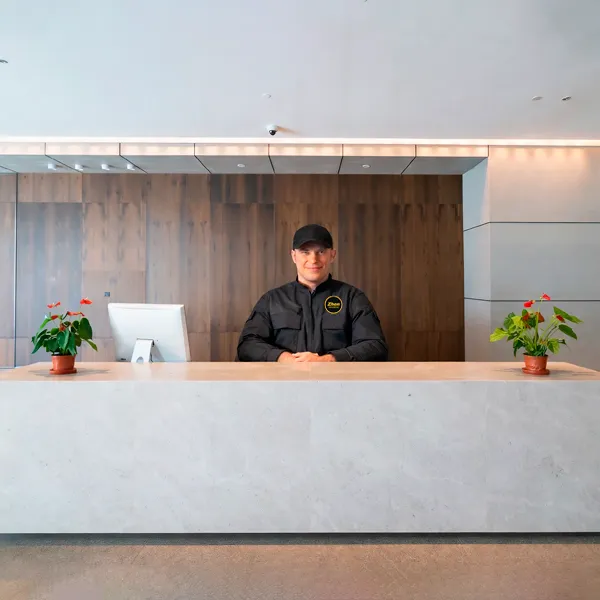 Vigilancia y Seguridad